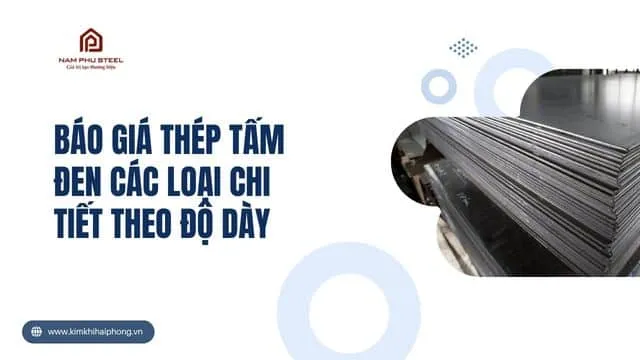 Sản phẩm bao gia thep tam den cac loai chi tiet theo do day — Công Ty TNHH Thép Nam Phú — MST 0201651442