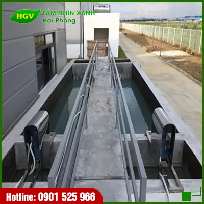 Sản phẩm anhthay1 — Công Ty TNHH Tầm Nhìn Xanh Hải Phòng — MST 0201652615