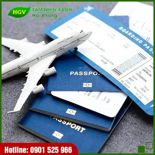 Sản phẩm Dat ve 1 — Công Ty TNHH Tầm Nhìn Xanh Hải Phòng — MST 0201652615