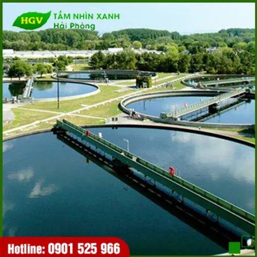 Sản phẩm image_20190911100554_1 — Công Ty TNHH Tầm Nhìn Xanh Hải Phòng — MST 0201652615