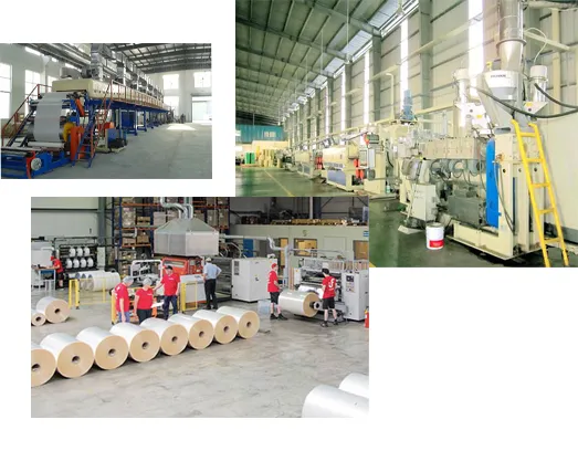 Sản phẩm 5236345 — Công Ty Cổ Phần Tập Đoàn EIL Việt Nam — MST 0201654475