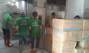Sản phẩm 560162385513shop1 — Vệ Sinh Công Nghiệp An Phú - Công Ty TNHH Phát Triển Dịch Vụ Thương Mại An Phú — MST 0201699010