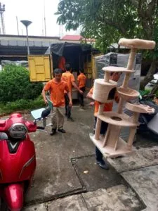 Sản phẩm gen h z7001630844040_ca73b2b9d38c1d3fc0d349338a177c34 225x300 — Công Ty TNHH Dịch Vụ Vận Tải Chuyển Nhà Thịnh Vượng — MST 0201718344