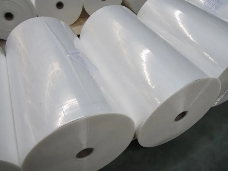 Sản phẩm 13195 meo mang pe — Công Ty Cổ Phần Bao Bì Nhựa Hải Phòng — MST 0201719330
