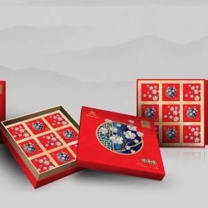 Sản phẩm hop1 300x300 — Bánh Mứt Thanh Lịch - Công Ty TNHH Bánh Mứt Thanh Lịch — MST 0201738132