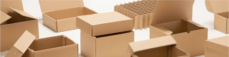 Sản phẩm rWiQ_Anh carton 1 — Công Ty Cổ Phần Sản Xuất Bao Bì Cường Anh — MST 0201749938