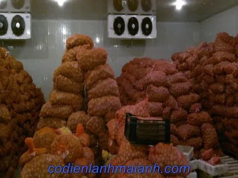 Sản phẩm he thong may kho lanh bao quan khoai tay_v 1579079473763 — Kho Lạnh Mai Anh - Công Ty TNHH Cơ Điện Lạnh Mai Anh — MST 0201769437