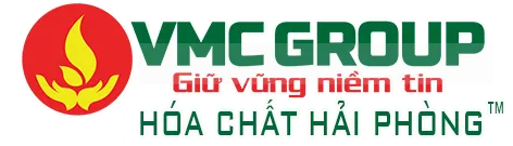 Logo Công Ty Cổ Phần Đầu Tư Và Phát Triển Thị Trường Việt Mỹ