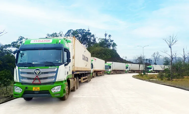 Sản phẩm 540315032022thc2 — Công Ty Cổ Phần Thương Mại Và Vận Tải Biển SNT — MST 0201871889