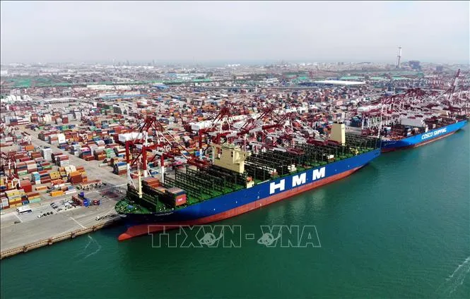 Sản phẩm 7981cang 160322 1 — Công Ty Cổ Phần Thương Mại Và Vận Tải Biển SNT — MST 0201871889