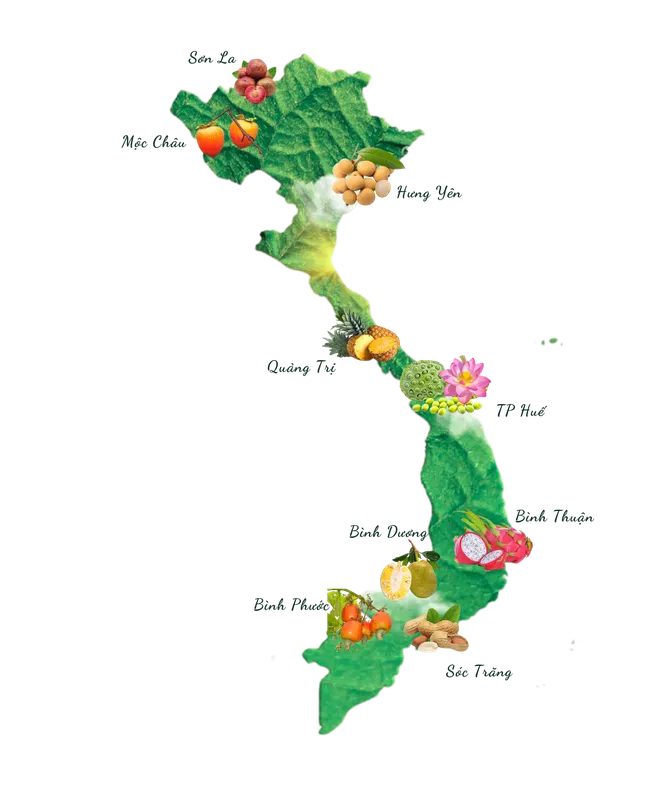 Sản phẩm Them tieu de 4 — Công Ty Cổ Phần Đầu Tư XNK Châu Long — MST 0201880548