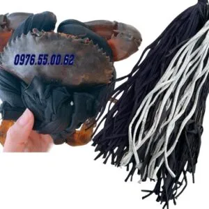 Sản phẩm z5366409173781_db758eeef7530c50c92eadfee8477f4a 300x300 — Công Ty TNHH Đầu Tư Thương Mại Và Dịch Vụ Nguyễn Thế — MST 0201884905