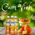 Sản phẩm nuoc cam vinh alkari 150x150 — Công Ty TNHH Đầu Tư Thương Mại Và Dịch Vụ Nguyễn Thế — MST 0201884905