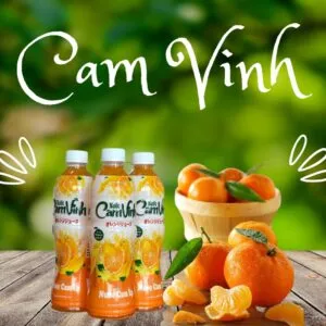 Sản phẩm nuoc cam vinh alkari 300x300 — Công Ty TNHH Đầu Tư Thương Mại Và Dịch Vụ Nguyễn Thế — MST 0201884905