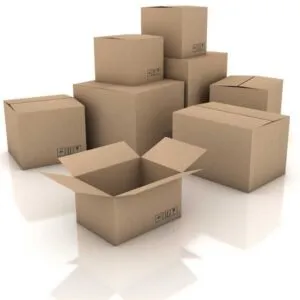 Sản phẩm bao bi carton 4 300x300 — Công Ty TNHH Đầu Tư Thương Mại Và Dịch Vụ Nguyễn Thế — MST 0201884905