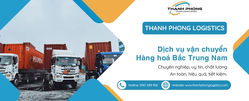Sản phẩm 4 5000 hinh — Thanh Phong Logistics - Công Ty TNHH Đầu Tư TM Xây Dựng XNK Thanh Phong — MST 0201898947