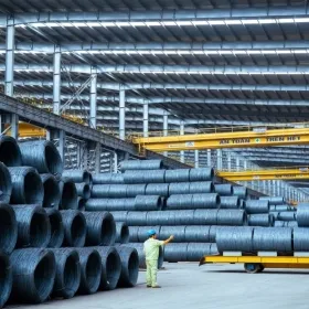 Sản phẩm kiem hoa phut nin tho trong quy trinh thong quan 0 — Thanh Phong Logistics - Công Ty TNHH Đầu Tư TM Xây Dựng XNK Thanh Phong — MST 0201898947