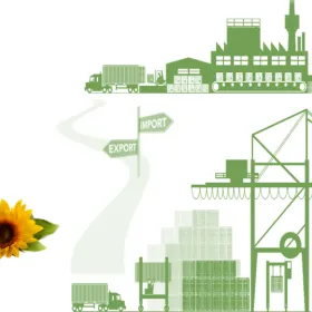 Sản phẩm thu tuc nhap khau dau thuc vat 0 — Thanh Phong Logistics - Công Ty TNHH Đầu Tư TM Xây Dựng XNK Thanh Phong — MST 0201898947