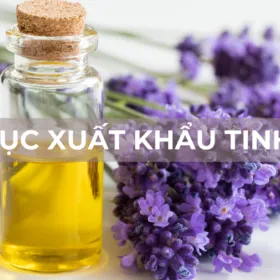 Sản phẩm thu tuc xuat khau tinh dau 0 — Thanh Phong Logistics - Công Ty TNHH Đầu Tư TM Xây Dựng XNK Thanh Phong — MST 0201898947