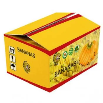 Sản phẩm 4392thung carton in offset 6 — Bao Bì Giấy Hùng Vương - Công Ty Cổ Phần Bao Bì Hùng Vương — MST 0201900473