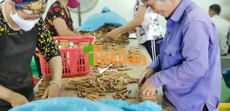 Nhà máy Nông Sản Gia Vị Tutilan Việt Nam - Công Ty Cổ Phần Tutilan Việt Nam #? — MST 0201971386