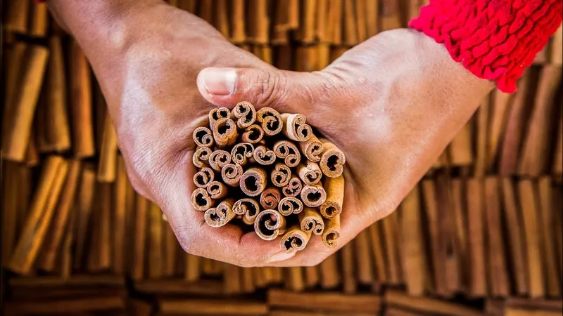Sản phẩm maxresdefault — Nông Sản Gia Vị Tutilan Việt Nam - Công Ty Cổ Phần Tutilan Việt Nam — MST 0201971386