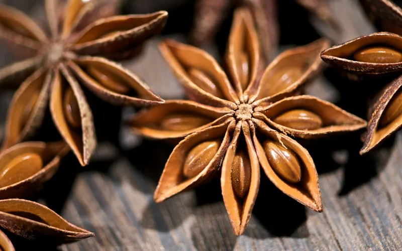 Sản phẩm STAR ANISE — Nông Sản Gia Vị Tutilan Việt Nam - Công Ty Cổ Phần Tutilan Việt Nam — MST 0201971386
