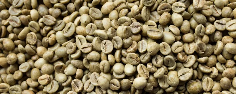 Sản phẩm cafe — Nông Sản Gia Vị Tutilan Việt Nam - Công Ty Cổ Phần Tutilan Việt Nam — MST 0201971386