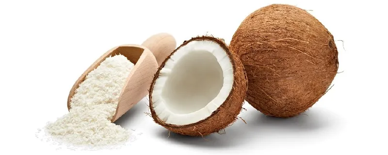 Sản phẩm cơm dừa — Nông Sản Gia Vị Tutilan Việt Nam - Công Ty Cổ Phần Tutilan Việt Nam — MST 0201971386