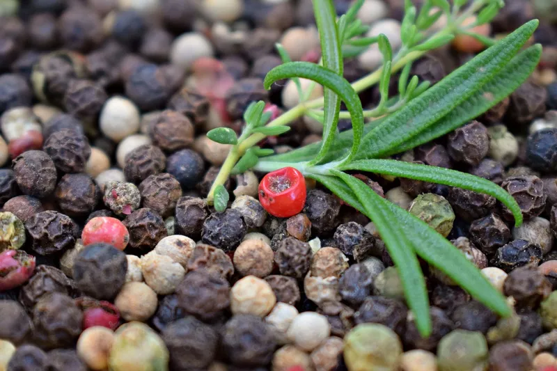 Sản phẩm mixedpeppercorns — Nông Sản Gia Vị Tutilan Việt Nam - Công Ty Cổ Phần Tutilan Việt Nam — MST 0201971386