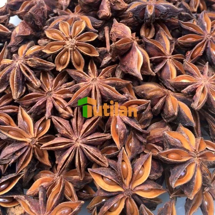 Sản phẩm STAR ANISE EXPORT — Nông Sản Gia Vị Tutilan Việt Nam - Công Ty Cổ Phần Tutilan Việt Nam — MST 0201971386