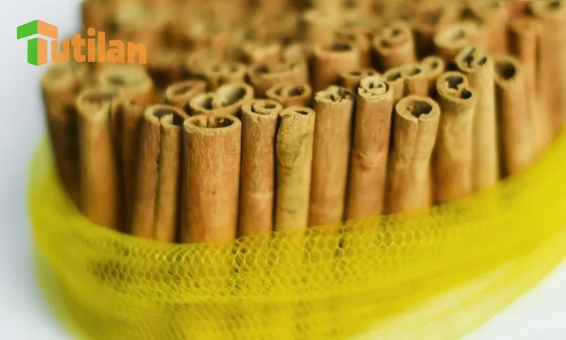 Sản phẩm cinnamon 3 cigarette 1 — Nông Sản Gia Vị Tutilan Việt Nam - Công Ty Cổ Phần Tutilan Việt Nam — MST 0201971386