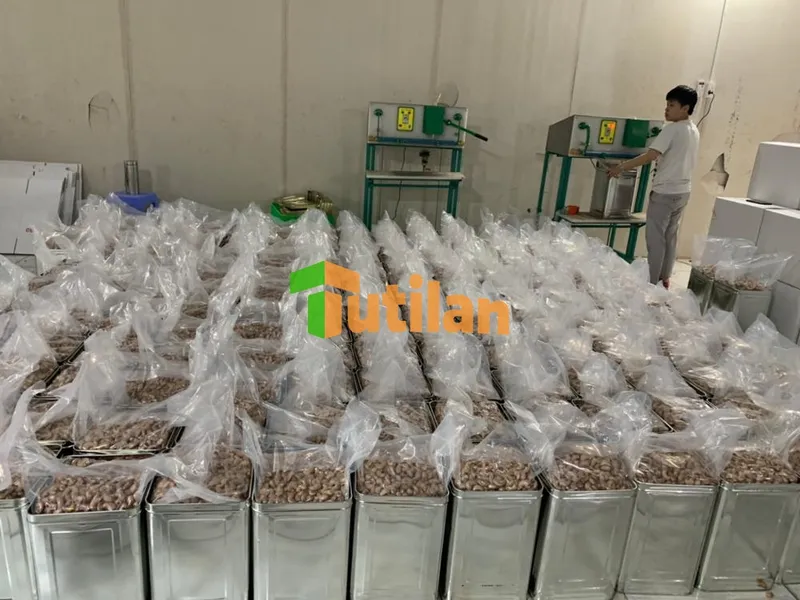 Sản phẩm packing tin box 1 — Nông Sản Gia Vị Tutilan Việt Nam - Công Ty Cổ Phần Tutilan Việt Nam — MST 0201971386