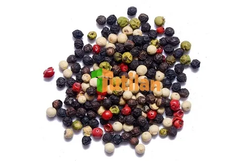 Sản phẩm pepper tutilan — Nông Sản Gia Vị Tutilan Việt Nam - Công Ty Cổ Phần Tutilan Việt Nam — MST 0201971386