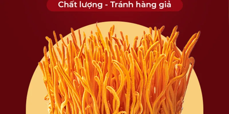 Sản phẩm DONG TRUNG HA THAO ZII YEN 800x400 — Công Ty TNHH ZII Yến — MST 0201971770