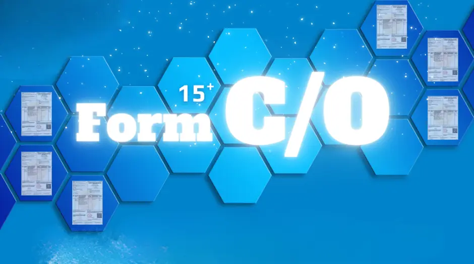 Sản phẩm co form 1 — Công Ty TNHH Giao Nhận Quốc Tế HP LINK — MST 0202022704