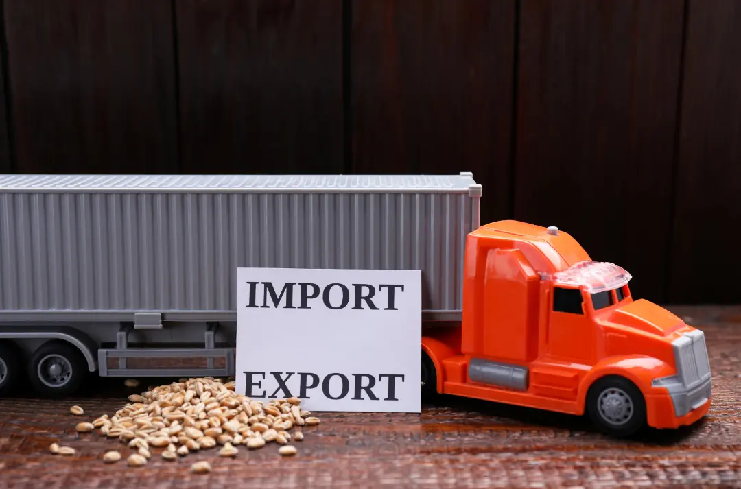 Sản phẩm import export service — Công Ty TNHH Giao Nhận Quốc Tế HP LINK — MST 0202022704