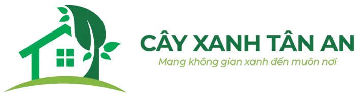 Sản phẩm 4051002449 oimz3s0 — Cây Xanh Tân An - Công Ty TNHH TM Đầu Tư Và Xây Dựng Tân An — MST 0202083390