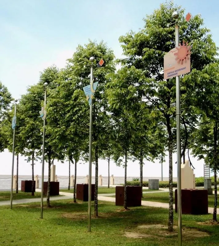 Sản phẩm 3611cay bongmat jpg — Cây Xanh Tân An - Công Ty TNHH TM Đầu Tư Và Xây Dựng Tân An — MST 0202083390
