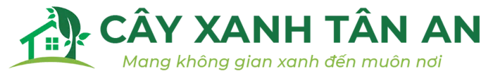 Sản phẩm 68751002449 oimz3s0 — Cây Xanh Tân An - Công Ty TNHH TM Đầu Tư Và Xây Dựng Tân An — MST 0202083390