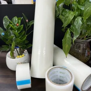 Sản phẩm z5273900713855_d9e4f0ae4ed30277e66157009221b8c5 300x300 — Màng Bảo Vệ Bề Mặt THVIET - Công Ty Cổ Phần Sản Xuất Và Thương Mại THVIET — MST 0202105301