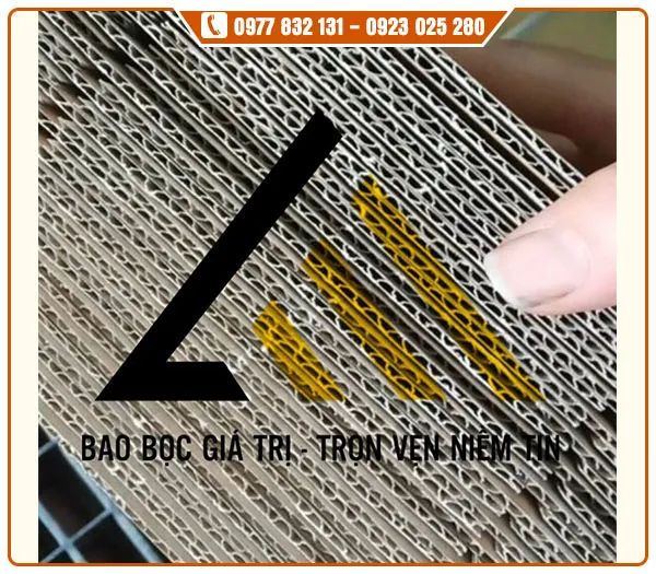 Sản phẩm tam carton2 — Màng Xốp Hơi Long Mã - Công Ty TNHH Bao Bì Long Mã — MST 0202108158