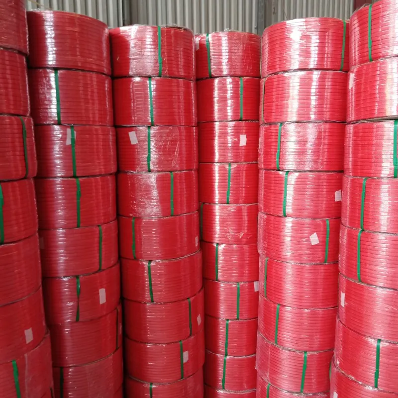 Sản phẩm day dai nhua pp — Vật Liệu Đóng Gói Thành Phát - Công Ty TNHH Sản Xuất Và Thương Mại Dây Đai Thành
Phát — MST 0202117635