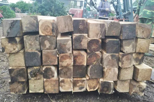 Sản phẩm go nguyen lieu 1 — Pallet Gỗ Bảo Phúc - Công Ty TNHH Sản Xuất Và Dịch Vụ Bảo Phúc — MST 0202135296