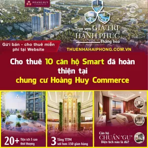 Sản phẩm 444470486_7790429621070319_1861103619554555801_n.4f868165832607a918f0a7670496d1ab — Công Ty TNHH Đầu Tư Và Dịch Vụ Thương Mại Cyber Life — MST 0202172361