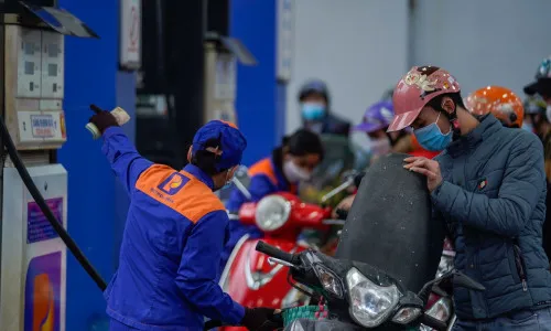 Sản phẩm 6726doxangocayxanghn103phamchieu 1 3813 1844 1674809706 — Công Ty TNHH Vasimex Việt Nam — MST 0202183412
