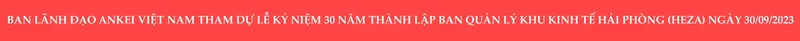 Sản phẩm 1 1 scaled — Công Ty TNHH Ankei Việt Nam — MST 0202207367