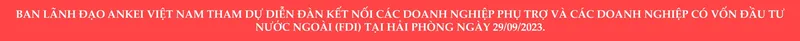 Sản phẩm 2 1 scaled — Công Ty TNHH Ankei Việt Nam — MST 0202207367