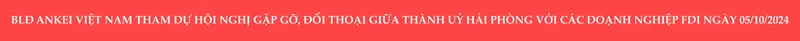 Sản phẩm 4 scaled — Công Ty TNHH Ankei Việt Nam — MST 0202207367