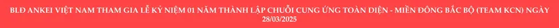 Sản phẩm 5 scaled — Công Ty TNHH Ankei Việt Nam — MST 0202207367